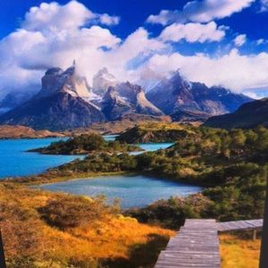 Meet your Posher, Simone